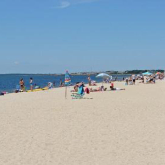CAPE COD SUMMER