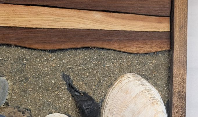 Seashell wood art beach