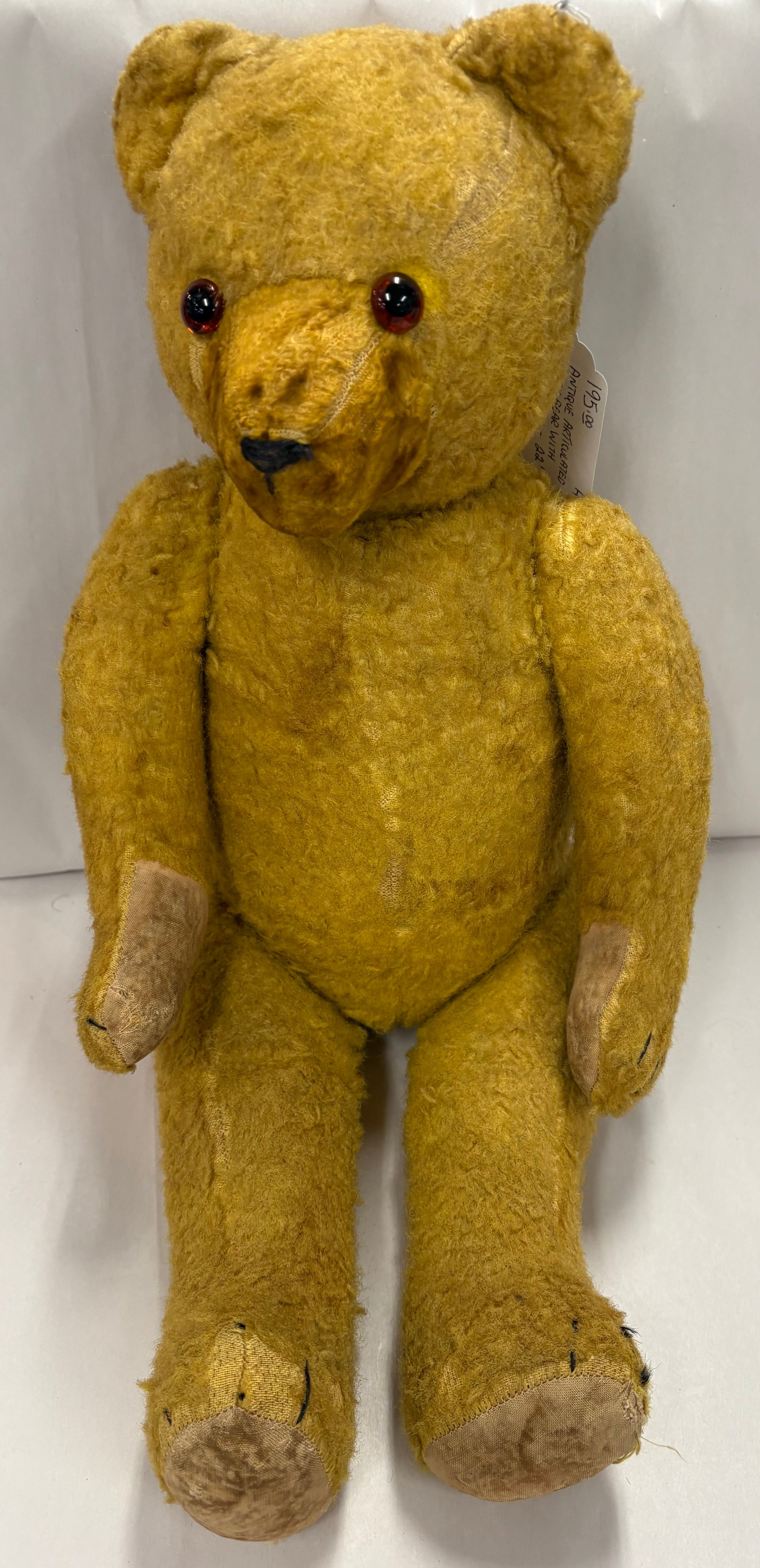 Antique Teddy Bear glass eyes
