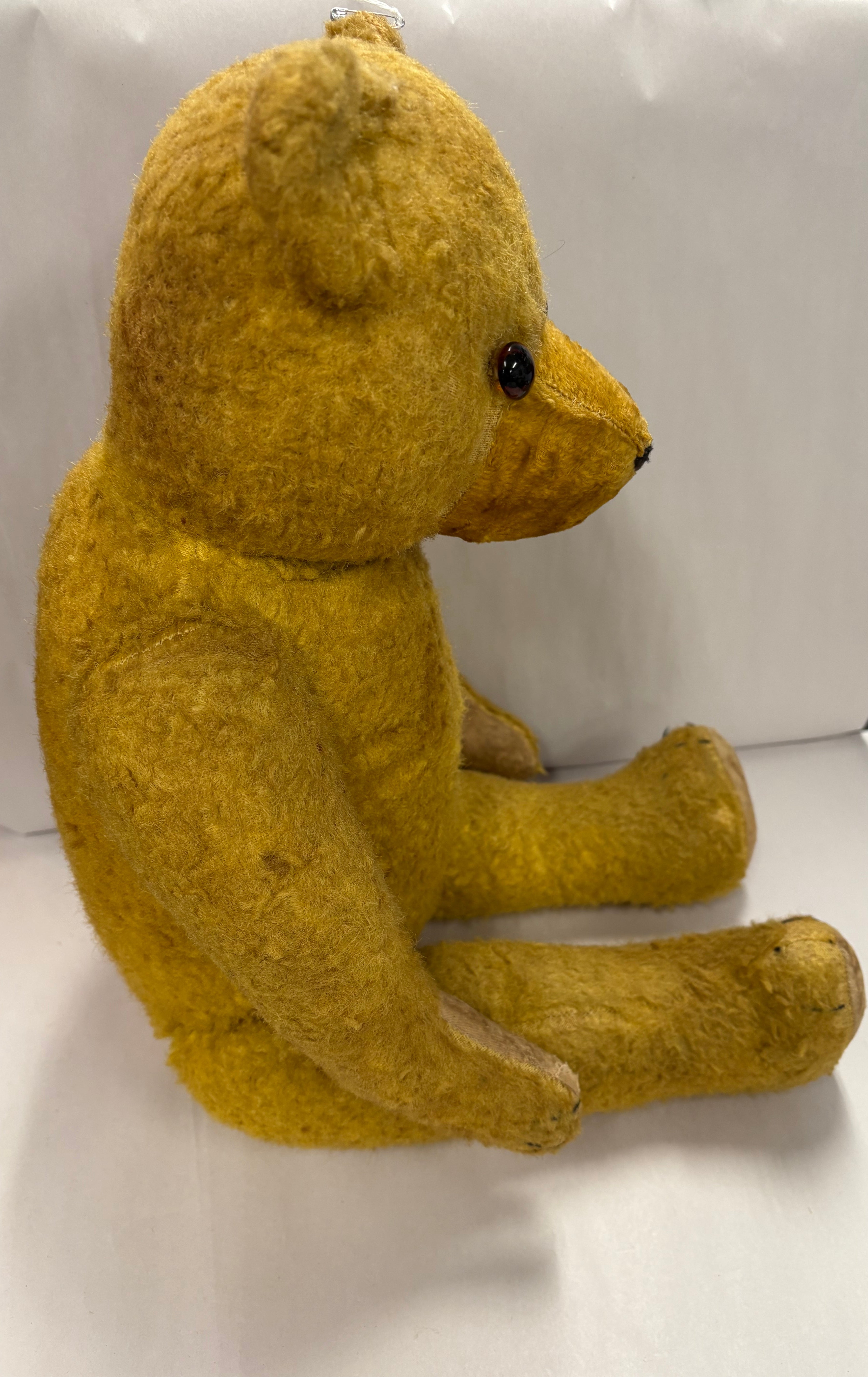 Antique Teddy Bear glass eyes