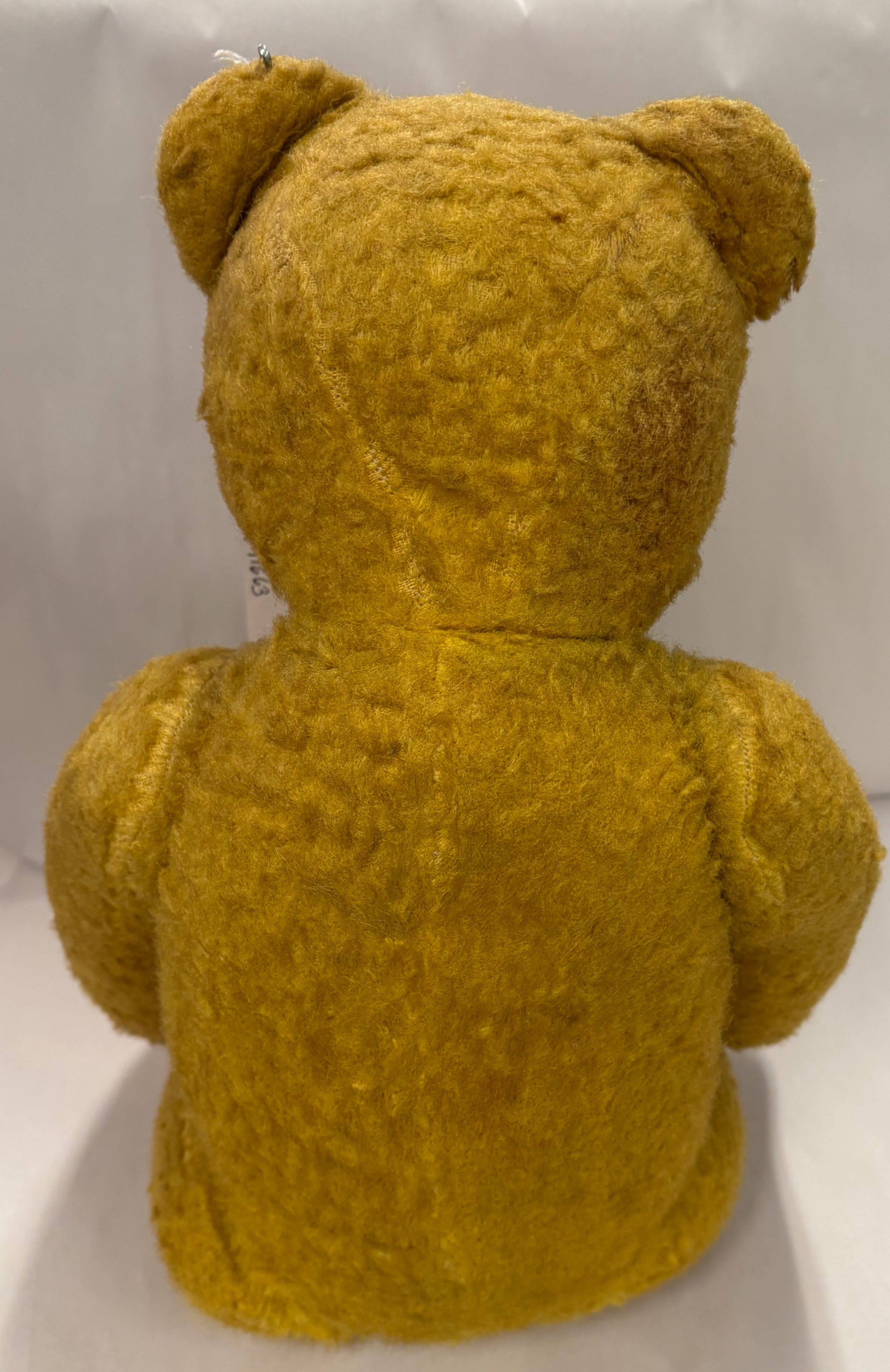 Antique Teddy Bear glass eyes