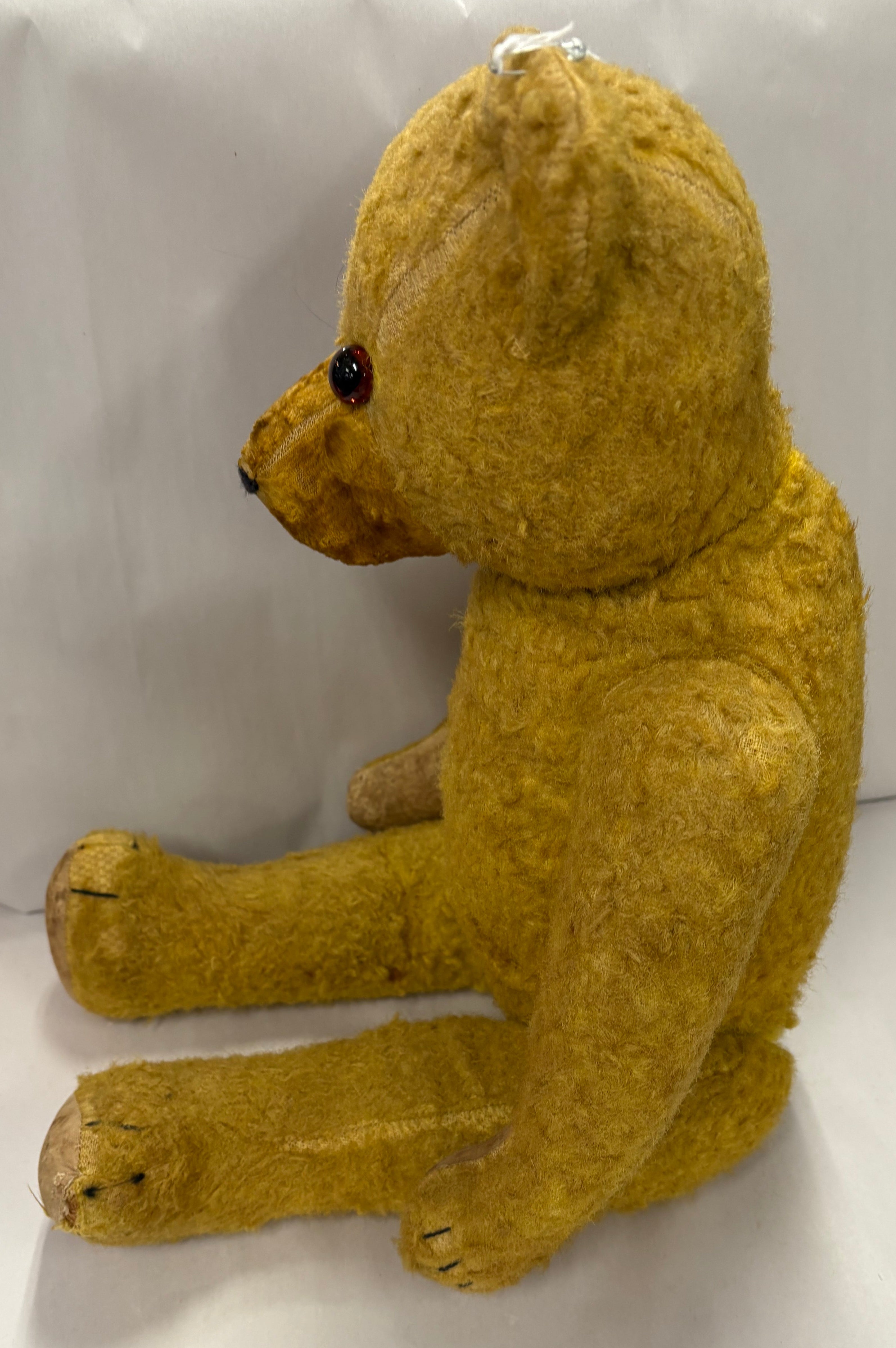 Antique Teddy Bear glass eyes