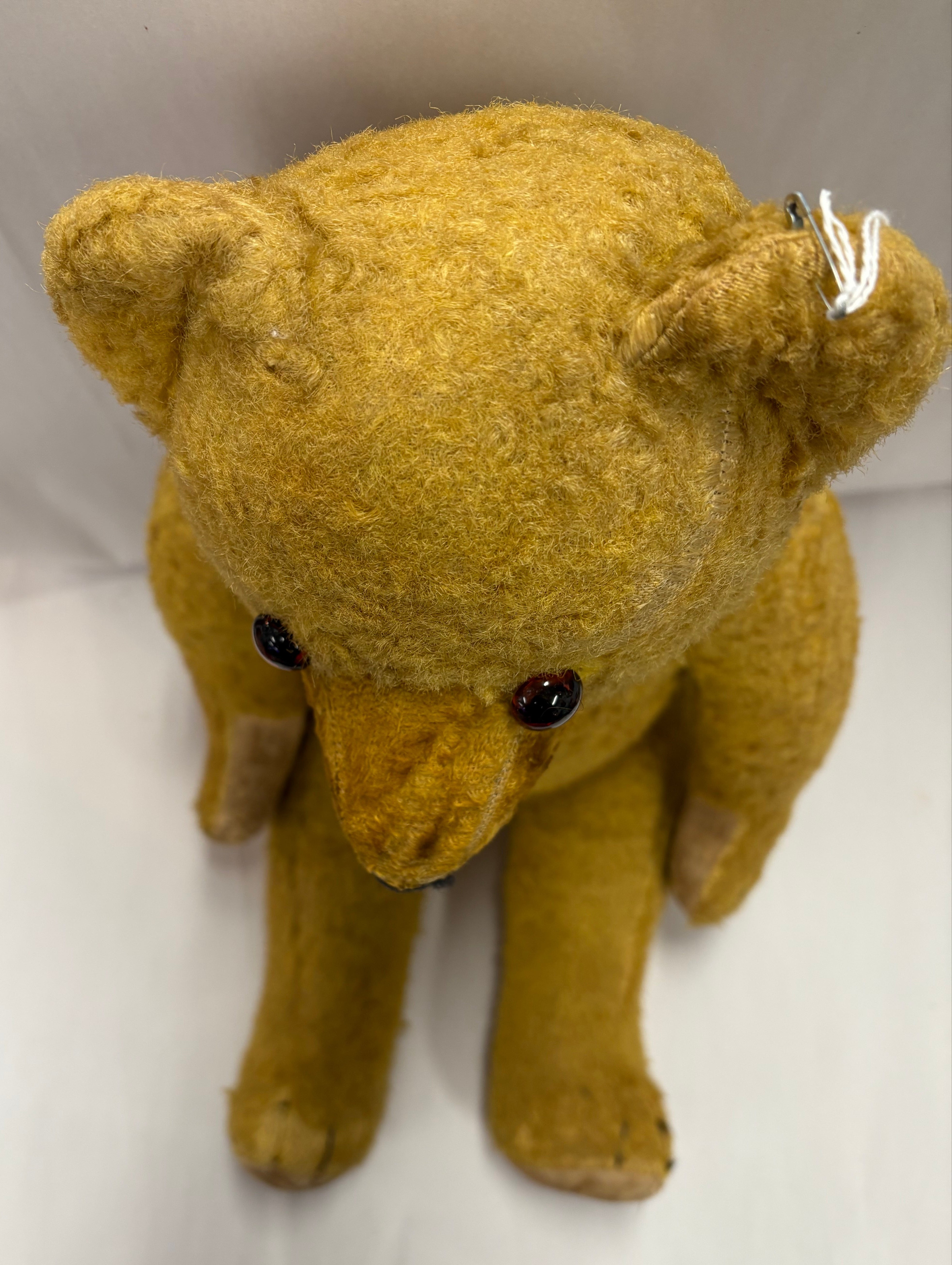 Antique Teddy Bear glass eyes