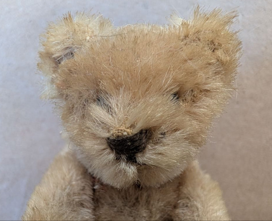 Mohair vintage Bear 