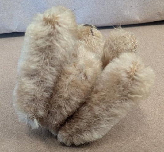 Mohair vintage Bear 
