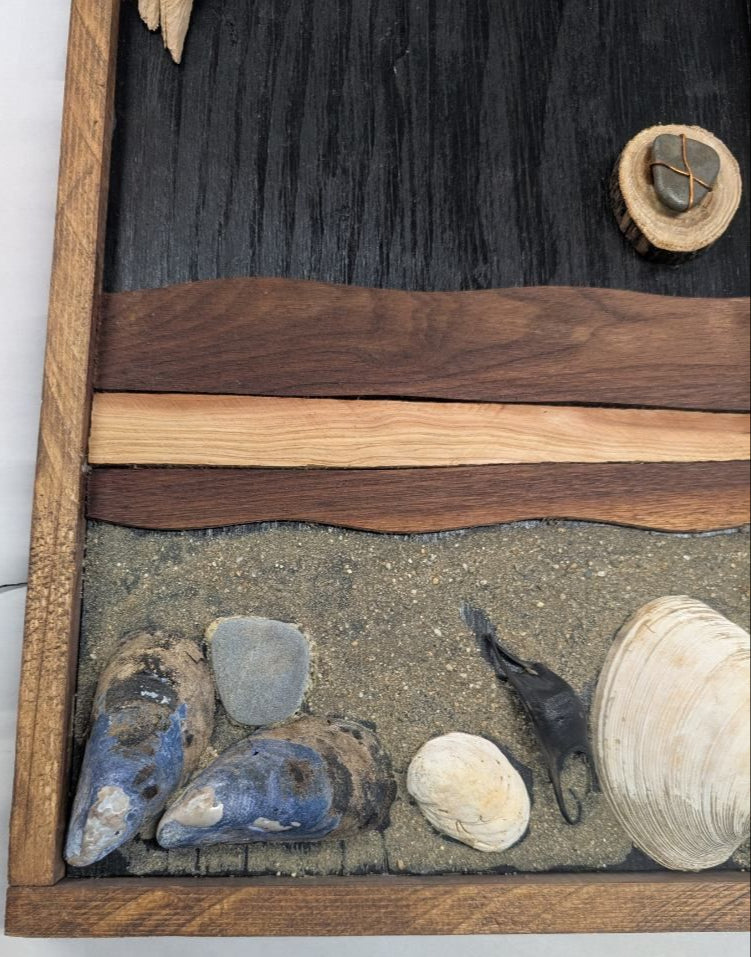Seashell wood art beach