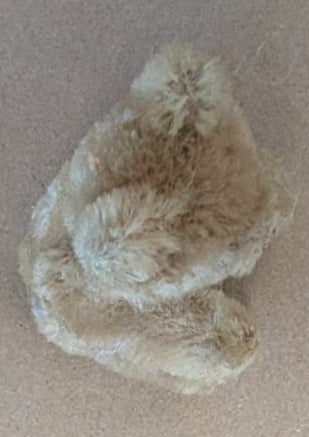 Mohair vintage Bear 